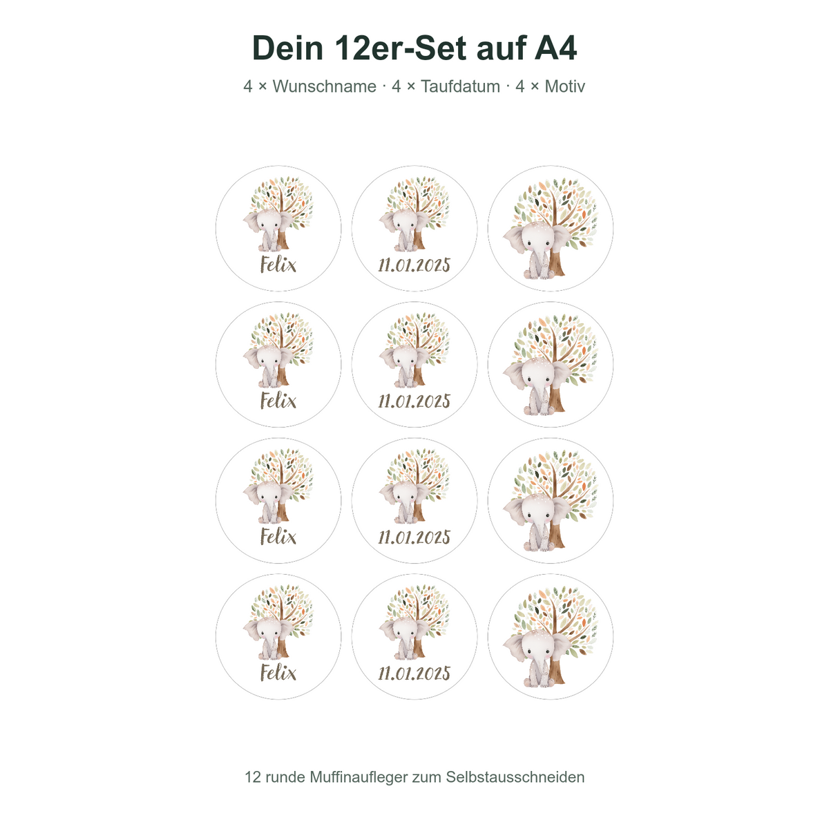 MUCKKI-PRO:493a2414b6de9cce68efbeb62d02ad9bbb79e463da41bcd73a7d15ff36b11382:Muffinaufleger Taufe Elefant 1 – 12 Stück à 6 cm mit Name und Taufdatum